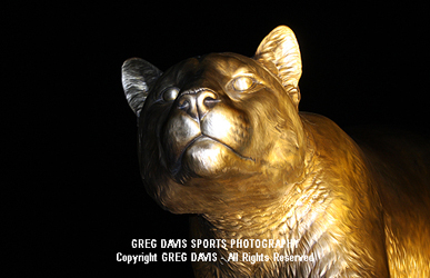 Cougar Pride / Bronze Cougar Statue - Washington State football